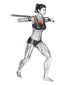 Band standing chest press demonstration