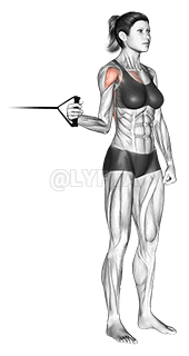 彈力帶站立肩內旋 demonstration