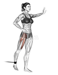 Elevación de pierna estirada de pie con banda demonstration