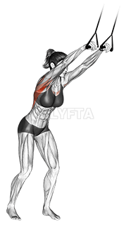 Traka za ravne ruke demonstration