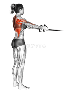 Thumbnail for the video of exercise: بينڊ سڌو پوئتي بيٺل قطار