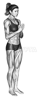 Postura da Cadeira II Utkatasana II demonstration