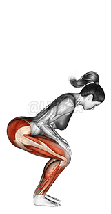 Thumbnail for the video of exercise: अग्रे स्थितः उत्तानासनं मोचयतु