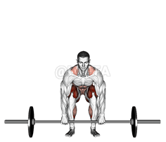 Dîtina ber Barbell Deadlift demonstration