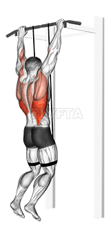 Thumbnail for the video of exercise: Band assisted pull-up