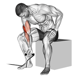 Thumbnail for the video of exercise: Група канцэнтрацыі завітак