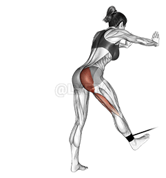 Extensão de quadril curvada com faixa demonstration