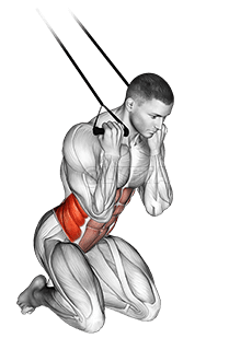 Crujido con torsión y rodillas con banda demonstration