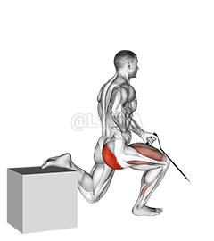 Band One Arm Single Leg Split Squat demonstration