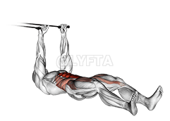 Band push sit-up demonstration