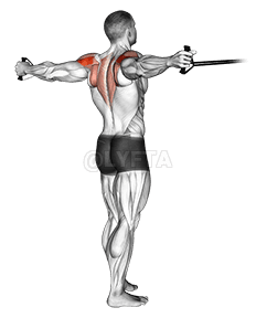 Sáv fordított légy demonstration