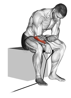 Curl láimhe droim ar ais banna demonstration