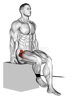 Внутреннее вращение бедра с лентой сидя demonstration