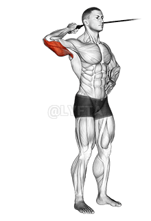 Extensão de tríceps lateral da banda demonstration