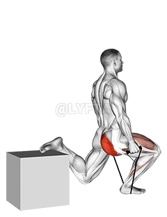 Band single leg split squat demonstration