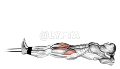 Band Lying Straight Leg Raise demonstration