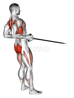Remo en sentadilla con banda demonstration