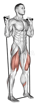 बैण्ड स्क्वाट demonstration