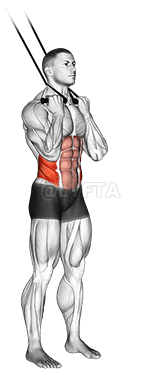 Thumbnail for the video of exercise: Скручивающий кранч стоя на ленте