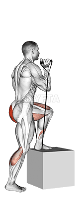 Thumbnail for the video of exercise: Band step-up