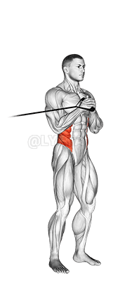 带立式帕洛夫压力机 demonstration