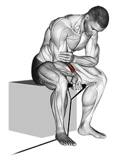 Bande poignet curl demonstration