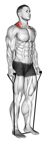 带耸肩 demonstration