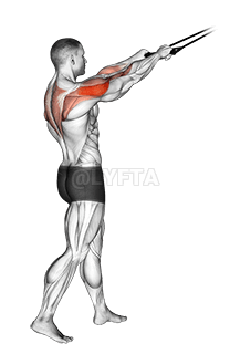 Тяга задних дельт на ленте стоя demonstration