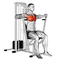 Lever Parallel Chest Press demonstration