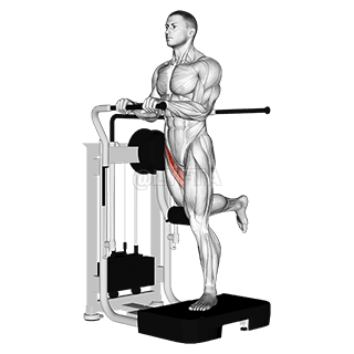 Thumbnail for the video of exercise: Lever Standing Leg Raise