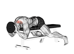 Image of Lying Neck Extension