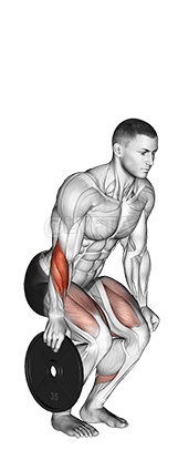 Pitada de placa demonstration