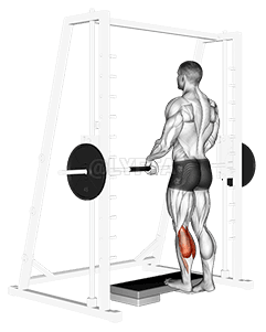 Thumbnail for the video of exercise: Смит Подъем на носки