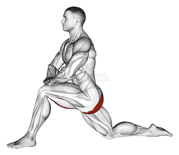 Térdelő Hip Flexor Stretch demonstration