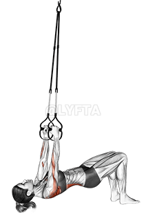 서스펜션 벤트 니 인버티드 로우 demonstration