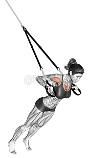 Hängende Brustpresse demonstration