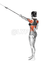 Thumbnail for the video of exercise: Suspension Power Pull