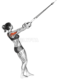 Suspension Reverse Fly demonstration