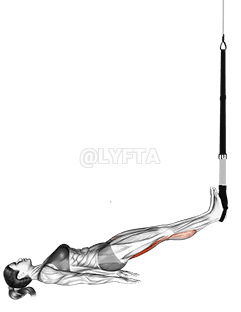 Suspensjon Rett Hip Leg Curl demonstration