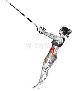 Thumbnail for the video of exercise: Падвеска Twist