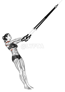 悬挂 Y 侧平举 demonstration