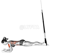 Závěsná tělová pila demonstration