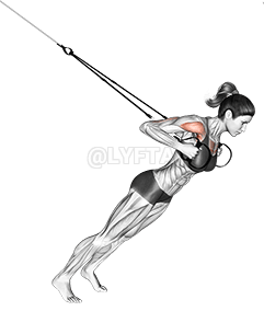 Suspension-Brustpresse mit engem Griff demonstration