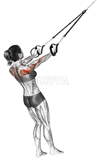 서스펜션 페이스 풀 demonstration