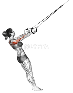 서스펜션 미들 로우 demonstration