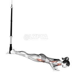 Thumbnail for the video of exercise: Suspension Mountain Climber Push-up