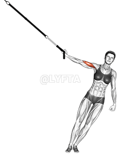 Suspension One Arm Biceps Curl demonstration