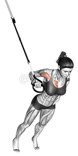 Einarmige Brustpresse mit Aufhängung demonstration