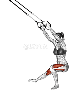Thumbnail for the video of exercise: Suspension Side Lunge