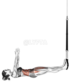 Thumbnail for the video of exercise: Apturēšana Sit-up